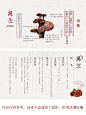 跟着《本草中国》写PPT —— Episode 2 年华 - 小红书