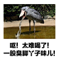 004atEXYgy1h3w655gbdij614014zk1h02.jpg (1440×1475)