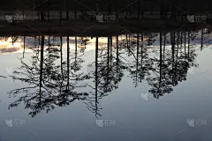 插画,水平画幅,秋天,无人,上下颠倒,早晨,计算机制图,计算机图形学,户外,湖