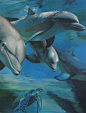 Residential mural-full wall Dolphins 6' x 8' $750