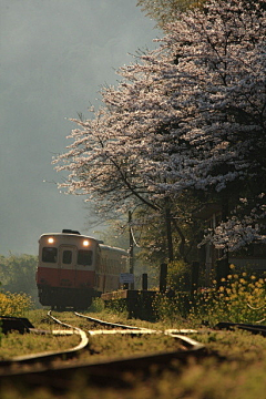 风月清冷采集到风景
