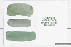 13个水彩常绿树(圣诞松树)笔刷集合Watercolor_Evergreen_Trees_Brush_Set-设计插件-@美工云(meigongyun.com)