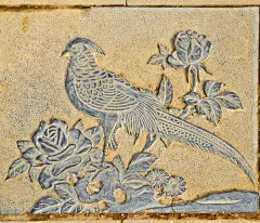 沙湖公园--武汉游记--蚂蜂窝