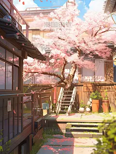 潮国创意美丽的樱花春天气息2浪漫唯美居民房漫画