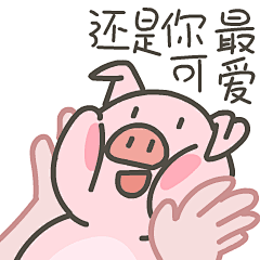 momo鸡的群聊秘籍 | 暖雀网-吉祥物设计/ip设计/卡通人物/卡通形象设计/卡通品牌设计平台