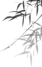 竹叶1