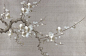 Fromental cherry blossom