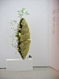 AOF架构花艺展—我的作品前的合影