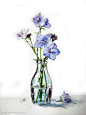 水彩插画 瓶中花 插画 花 植物 特写 春季 盆栽 透明 装饰 美 无人 花瓶 装饰品 丁香花 白色背景 花束 容器 色彩柔和 美术绘画 多样 常春藤 风信子