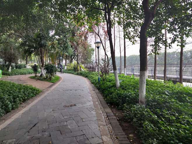 公园小路