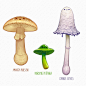 the Mycologist's Fieldguide, Gregor Kari : I did a short series on mushrooms recently. A personal project because I always loved to go on a mushroom hunt as a kid and now living in Germany there's lots of forest again I can explore on my spare days. I usu