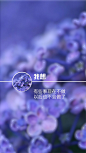 悟语