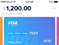 Visa screen