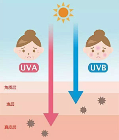 茶荼荼茶采集到对比图