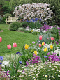 Love this garden, add some raised veggie beds in the upper right corner: 