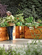 A bit pricey but this is what I've had in mind..... Elevated Cedar Raised Bed, 2' x 8': 