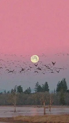 天空 - 堆糖，美图壁纸兴趣社区