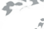 图层 112
