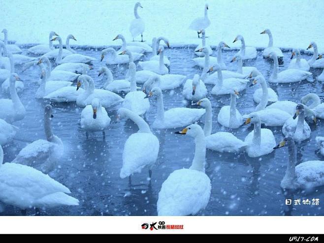 [封面摄影师]143期 在雪原仙境 与天...