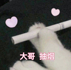 时光✘采集到表情包