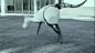 Festo2014年最新推出一款仿生袋鼠机器人（BionicKangaroo），可达到袋鼠跳跃高度。这款机器人身高超过一米，体重约七千克，每次实现的跳跃动作大致在40厘米高、80厘米长的范围内。根据研发制造人员透露，该机器人在工业上的优势在能源技术储备方面上可以体现出来。
