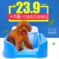 ydd丹然采集到宠物