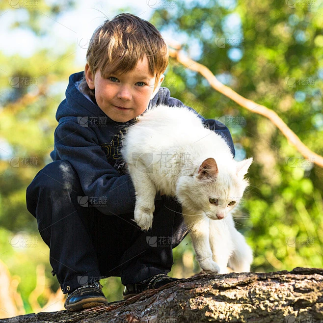 梦见小男孩与猫的预兆，探索梦境中的神秘信息