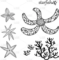 手绘线画海星鱼