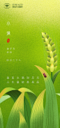 【源文件下载】 海报 二十四节气 小满 汽车 小麦 麦穗 绿色 插画 