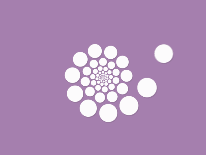 Shell2
