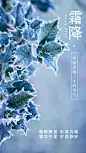 霜降节气节日唯美风手机海报