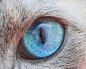 20150903-AndrewMarttila-11