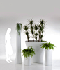 BONES PALOMBA - Flowerpots / Planters from Vondom | Architonic : BONES PALOMBA - Designer Flowerpots / Planters from Vondom ✓ all information ✓ high-resolution images ✓ CADs ✓ catalogues ✓ contact information..