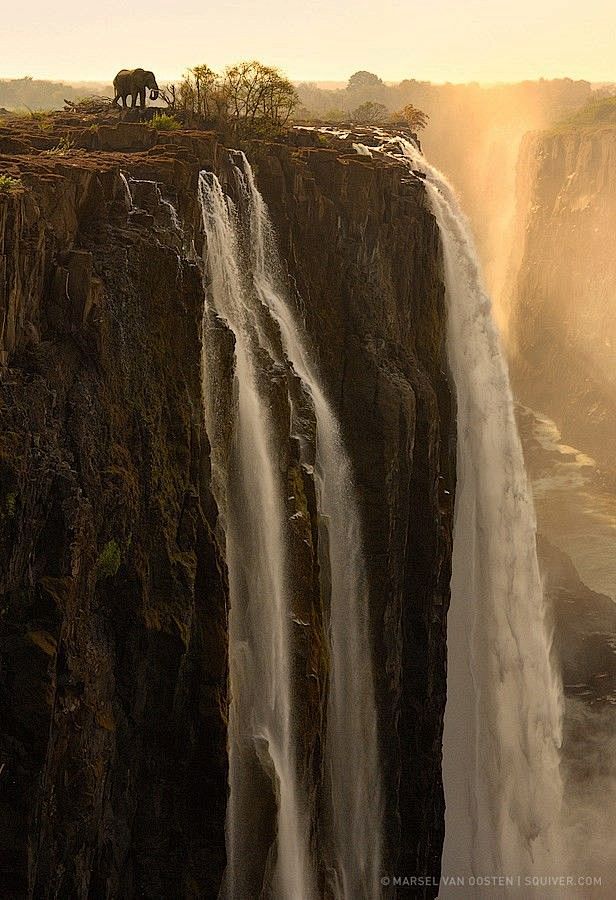 赞比亚和津巴布韦的维多利亚瀑布，大象  ...