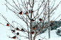 Photo: Adamstown, Maryland