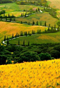 Zig Zag Road
Tuscany, Italy
意大利