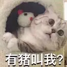 杰~j