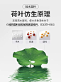 [三防]Navigare意大利小帆船秋季高级感衬衫男长袖黑色商务衬衣-tmall.com天猫