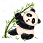 手绘-竹子熊猫动物元素贴纸6