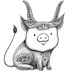 星肖绘 金牛座 生肖猪