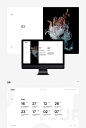 Minimalist Web Design Concept for Bjork