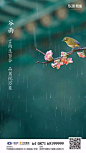 谷雨