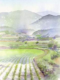 Yolk小媛采集到kanta harusaki