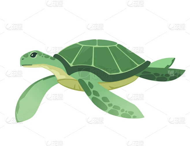 矢量,动物,海洋,绘画插图,卡通,龟,可爱的,绿蠵龟,游泳,设计图片_纹理图片素材-花瓣网
