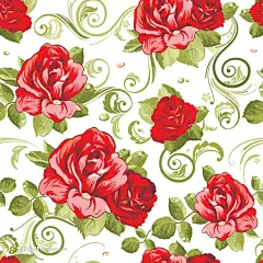 水彩玫瑰花插画矢量素材