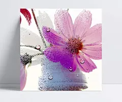 粉色创意花卉JPG|JPG,插画图片,创意,粉色,风景绘画,风景图片,花卉,菊花,留白,露珠,设计图片,无框画,自然风光,自然风景