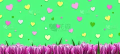 贺卡,郁金香,多色的,留白,动物心脏,绿色背景,背景,自然美,花,庆祝