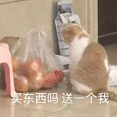 蜜桃的表情包放送酒心的蜜桃酥超话 @酒心蜜桃酥 今天做完的表情包还是今天发@猫咪表情包 ​ ​​​​