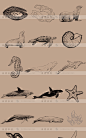 海鲜鱼螃蟹蚌龙虾手绘线稿EPS矢量餐饮菜单海报包装平面设计素材