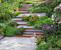 Muswell Hill Garden                                     This overview of the Muswell Hill garden reveals the staggered layout of steps and paths through the steeply sloping garden.